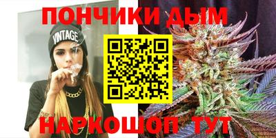 индика Железногорск